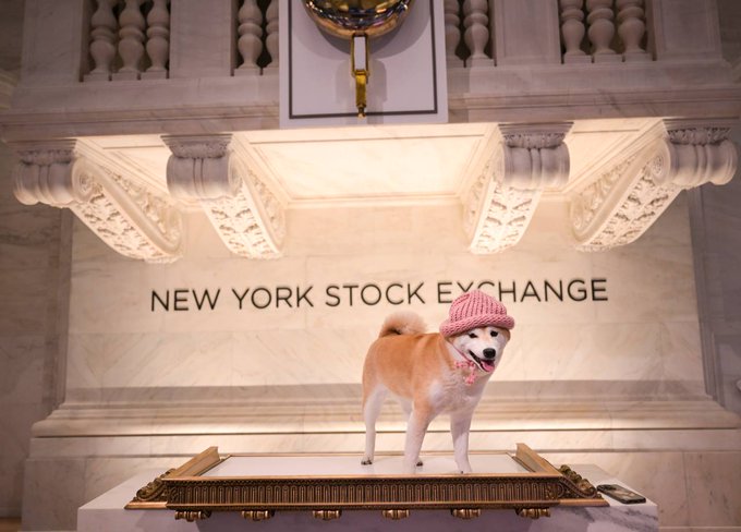dogwifhat on the NYSE floor