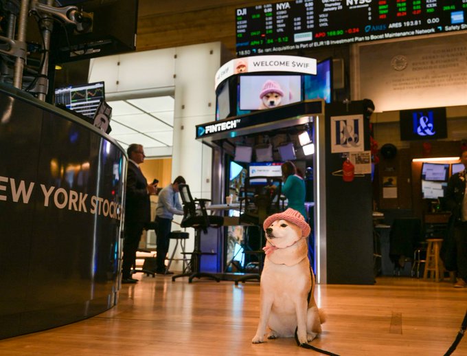 dogwifhat with the opening bell