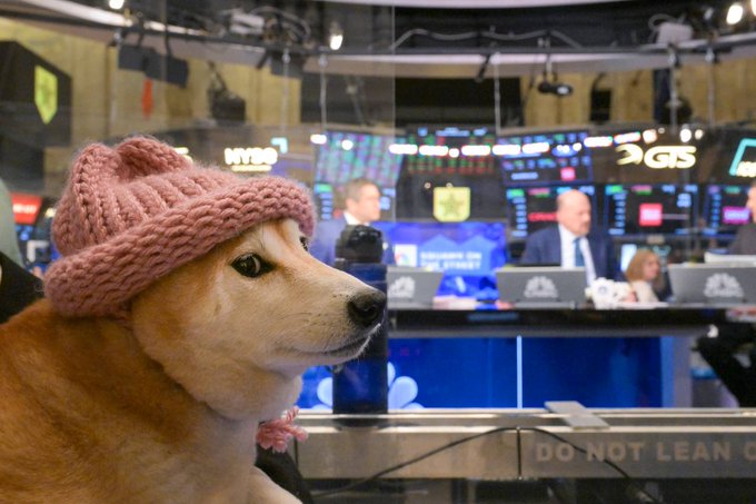 dogwifhat beside the NYSE bell